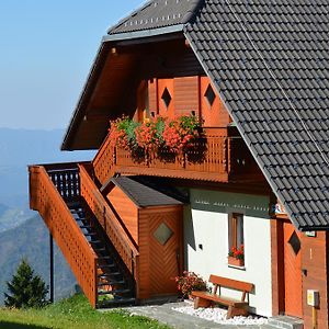 Appartement Apartmaji Srnca à Cerkno Exterior photo