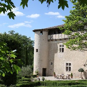 Château de Mayragues Castelnau-de-Montmiral Exterior photo