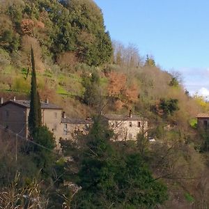 Appartement Rustico à Bagnoregio Exterior photo