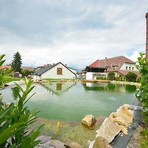 Hotel Pivovarsky Dvur Lipan à Týn nad Vltavou Exterior photo