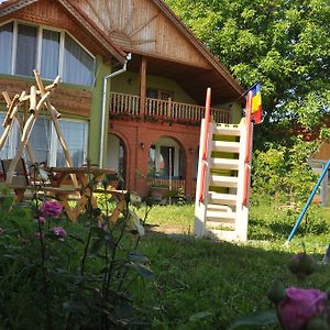 Hotel Pensiune Muzeu Traditional Poveste In Transilvania à Sighişoara Exterior photo