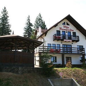Vila Romanita Păltiniş Exterior photo