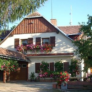 Hotel Pension Ivanka à Jestrabi V Krkonosich Exterior photo