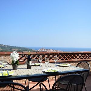 Villa superbe vue sur mer et sur la montagne jardin terrasses Banyuls-sur-Mer Exterior photo