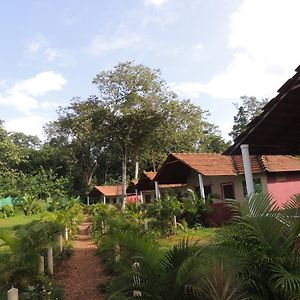 Appartement Dandeli - Jungle Nest à Sangave Exterior photo
