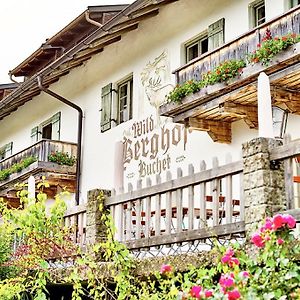 Hotel Wild-Berghof Buchet à Bernried am Starnberger See Exterior photo