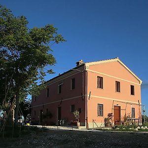 Appartement Quindici Alberi à Serra deʼ Conti Exterior photo