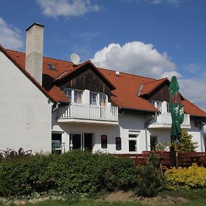 Hotel Penzion Salamoun à Jevišovice Exterior photo