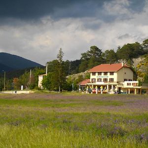 Hotel Le Relais de l'Artuby à Séranon Exterior photo