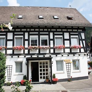 Appartement Ferienhaus Haus Am Medebach à Olsberg Exterior photo