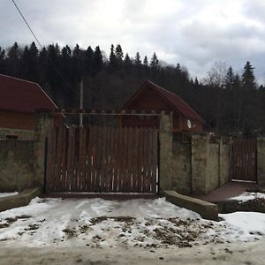 Guest House in Carpathians Myhove Exterior photo