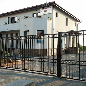 Hotel Pensiunea Aurelia à Siria Exterior photo