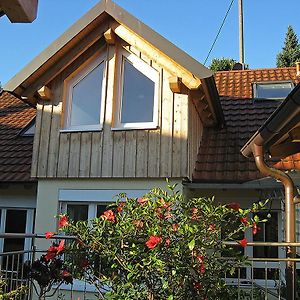 Die Sprachpension - The Language Guesthouse Vogtsburg im Kaiserstuhl Exterior photo