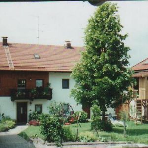 Appartement Ferienhof Bimesmeier à Triftern Exterior photo