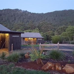 Bed and Breakfast Rustic Hut Bush Retreat à Penguin Exterior photo