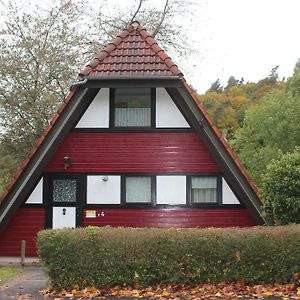 Villa Ferienhaus-Mohnblume à Machtlos Exterior photo