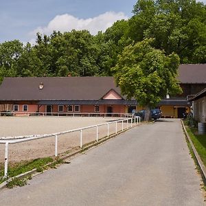 Villa Penzion Hradisko à Rožnov pod Radhoštěm Exterior photo