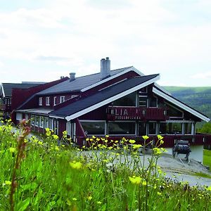 Lia Fjellhotell Geilo Exterior photo