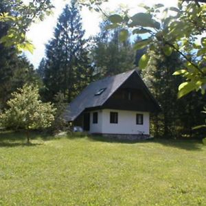 Hotel Apartmaji In Sobe Bohinjsko Jezero à Ukanc Exterior photo