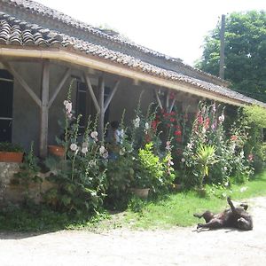 Chambres D'Hotes Le Chintre Queyssel Exterior photo