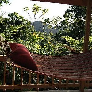 Villa Roots Jungle Retreat à Marigot Exterior photo