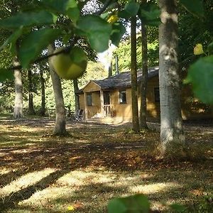 Appartement The Apple Wood à Warminster Exterior photo