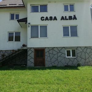 Villa Casa Alba à Fundata Exterior photo
