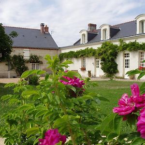 Hotel La Jarillais à Saumur Exterior photo