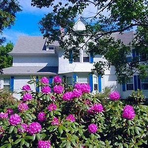 Atlantic Birches Inn B&B Old Orchard Beach Exterior photo