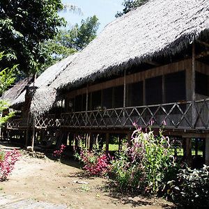 Hotel Jungle Wolf Expeditions à Nauta Exterior photo