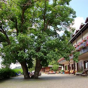 Hotel Ganzaie Cavalese Exterior photo