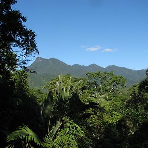 Bed and breakfast Mossman Gorge Bed&Breakfast Exterior photo