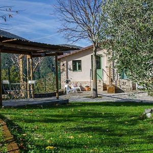 Bed and Breakfast Le Voltarelle Bed & Breakfast à Serra San Quirico Exterior photo