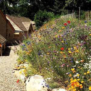 Bed and Breakfast Domaine des Marequiers chambre Alchemille à Saint-Germain-du-Teil Exterior photo