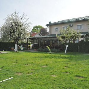 Bed and Breakfast Klet Cinkus à Hrvatski Leskovac Exterior photo