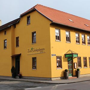 Hôtel Zum Ginkgobaum à Stadtilm Exterior photo