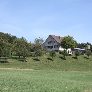 Bed and Breakfast Bnb Im Waldhof à Schneisingen Exterior photo