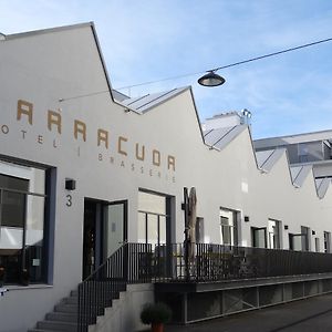 Hotel Barracuda à Lenzburg Exterior photo