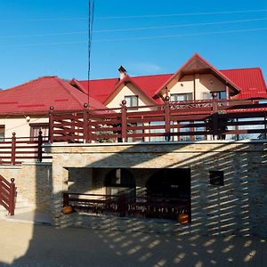 Hotel Pridvorul Haiducilor à Slănic-Moldova Exterior photo