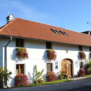 Appartement Vitalhof Roithinger à Grieskirchen Exterior photo