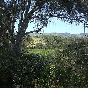 Villa Archery Road Estate à Tanunda Exterior photo