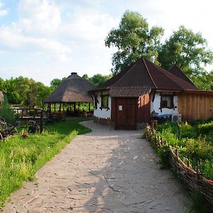 Hotel Dykyi Khutir à Melniki  Exterior photo