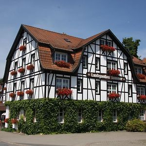 Hotel Gasthof Sommer à Lautertal  Exterior photo