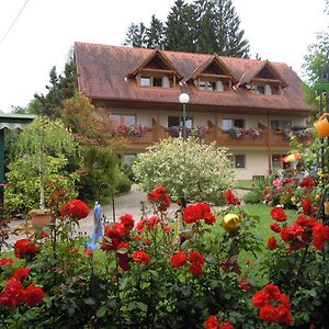 Hotel Gaestehaus Zur Schoenen Aussicht à Wies Exterior photo