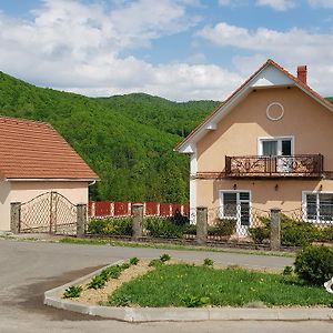 Hotel Lara à Solochyn Exterior photo