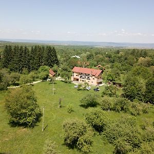 Bed and Breakfast Pensiunea Elena à Vistisoara Exterior photo