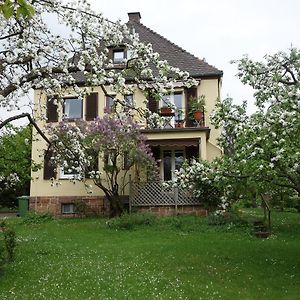 Villa Haus Victoria à Marburg Exterior photo