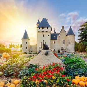 Hotel Château du Rivau à Lemere Exterior photo