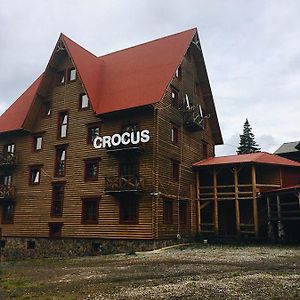 Hôtel Crocus à Dragobrat Exterior photo