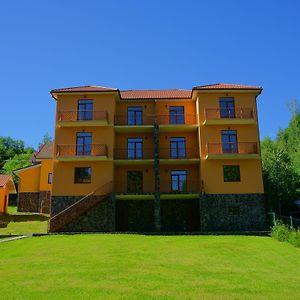 Hotel Vovk Gasthaus à Synyak Exterior photo